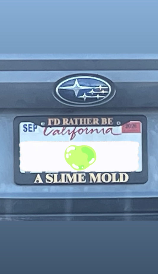 2/25/26 - 2/27/26: I'd rather be a slime mold.